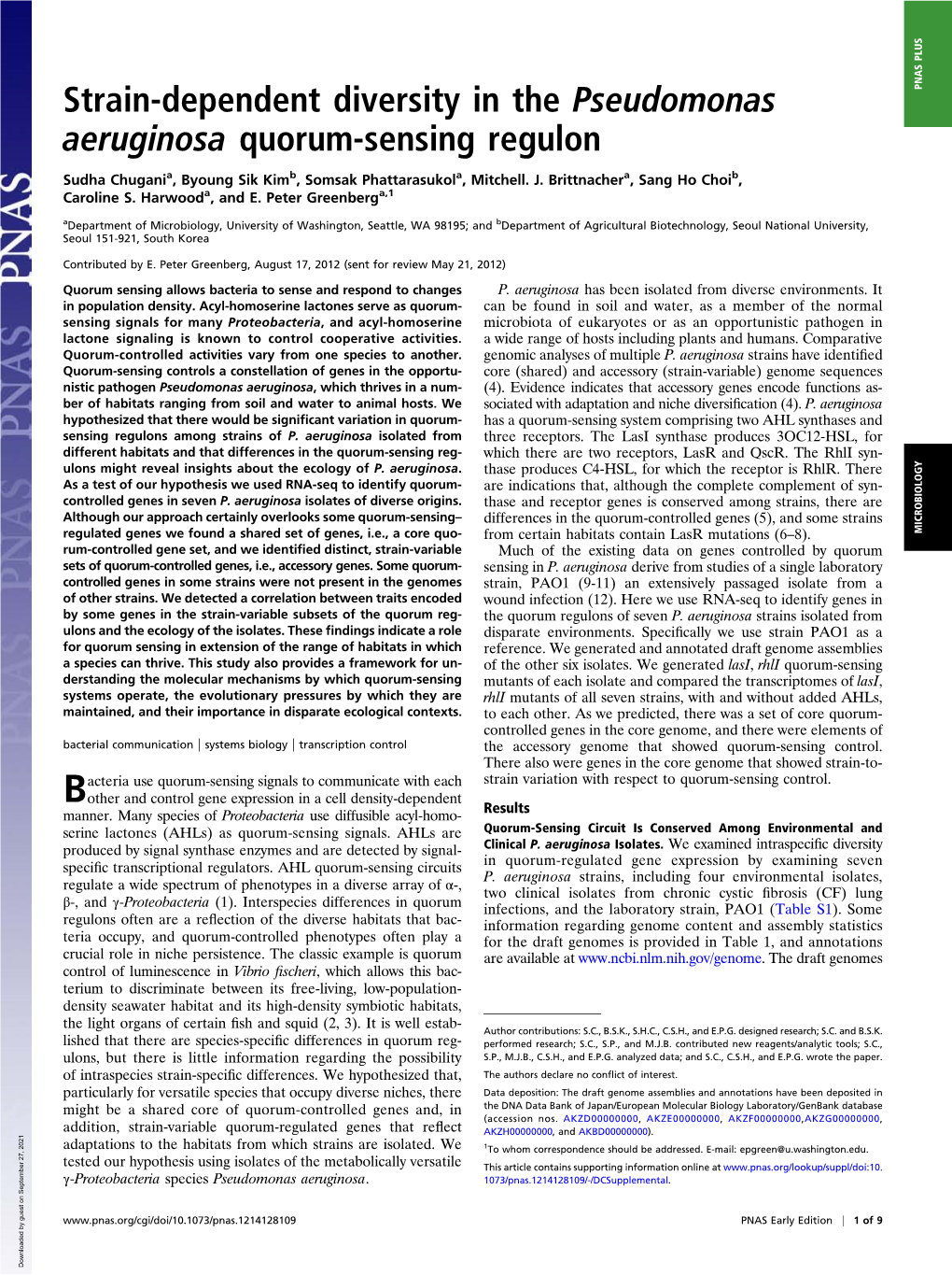 Strain-Dependent Diversity in the Pseudomonas Aeruginosa Quorum