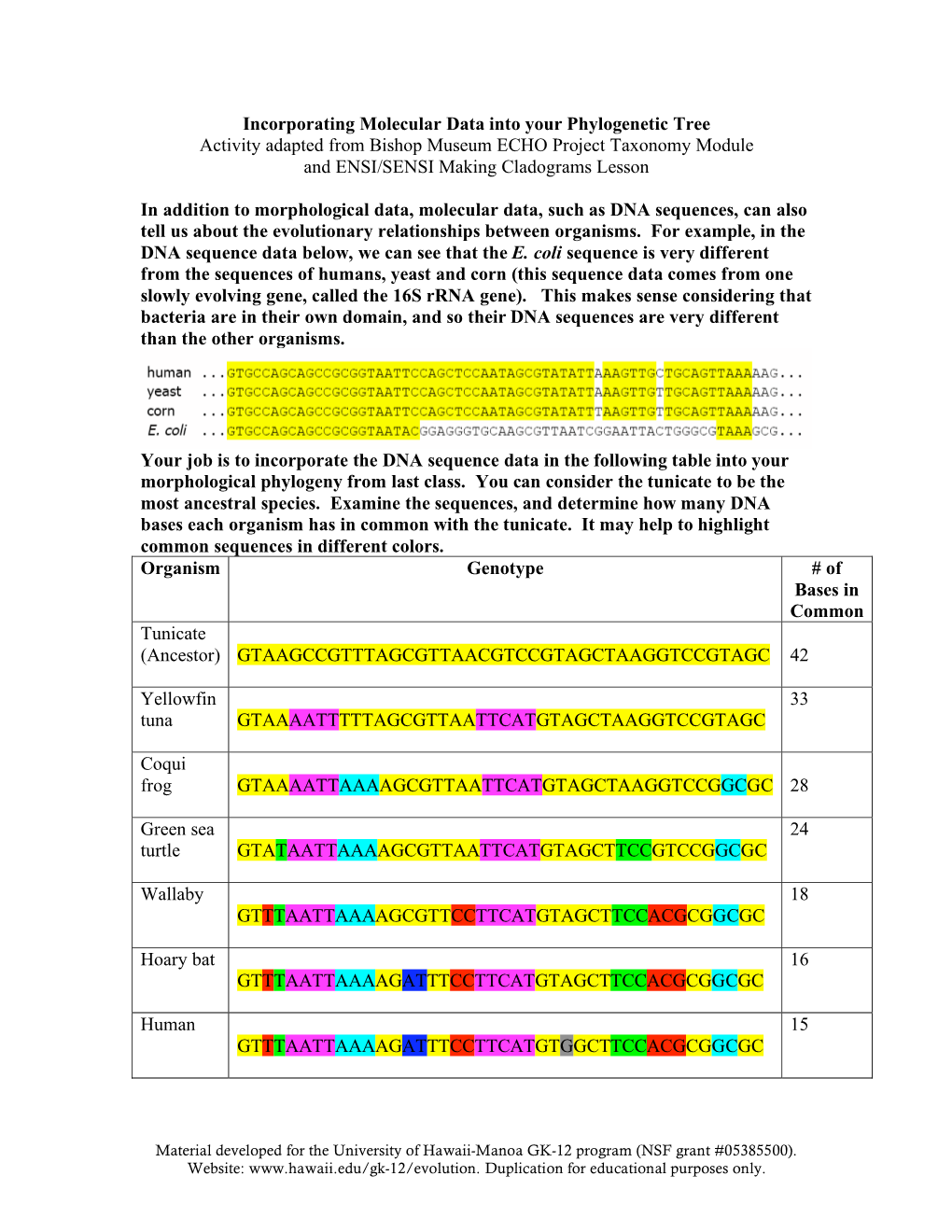 Incorporating Molecular Data Into Your Phylogenetic Tree Activity Adapted from Bishop Museum ECHO Project Taxonomy Module and ENSI/SENSI Making Cladograms Lesson