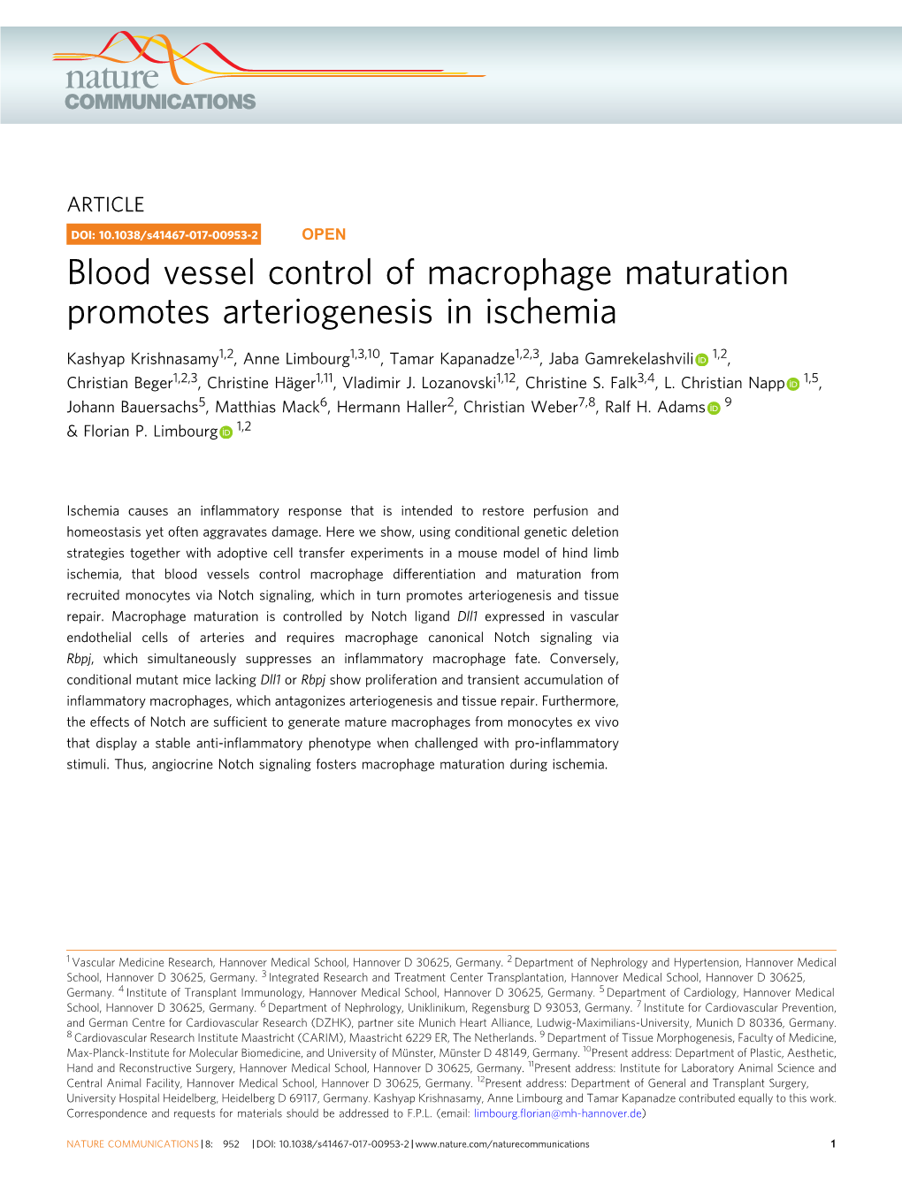 Blood Vessel Control of Macrophage Maturation Promotes Arteriogenesis in Ischemia