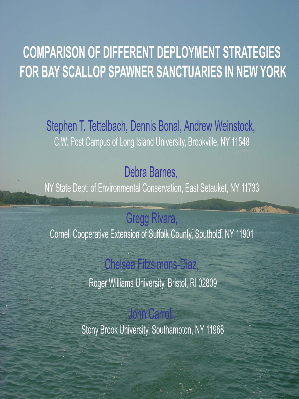 Comparison of Different Deployment Strategies for Bay Scallop Spawner Sanctuaries in New York