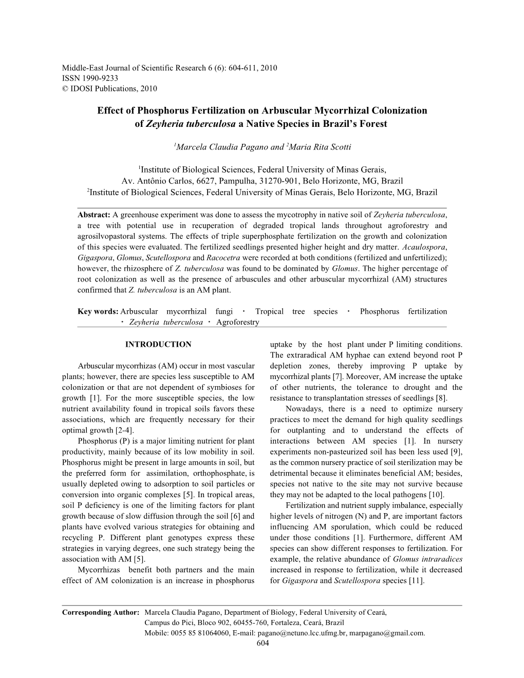 Effect of Phosphorus Fertilization on Arbuscular Mycorrhizal Colonization of Zeyheria Tuberculosa a Native Species in Brazil’S Forest