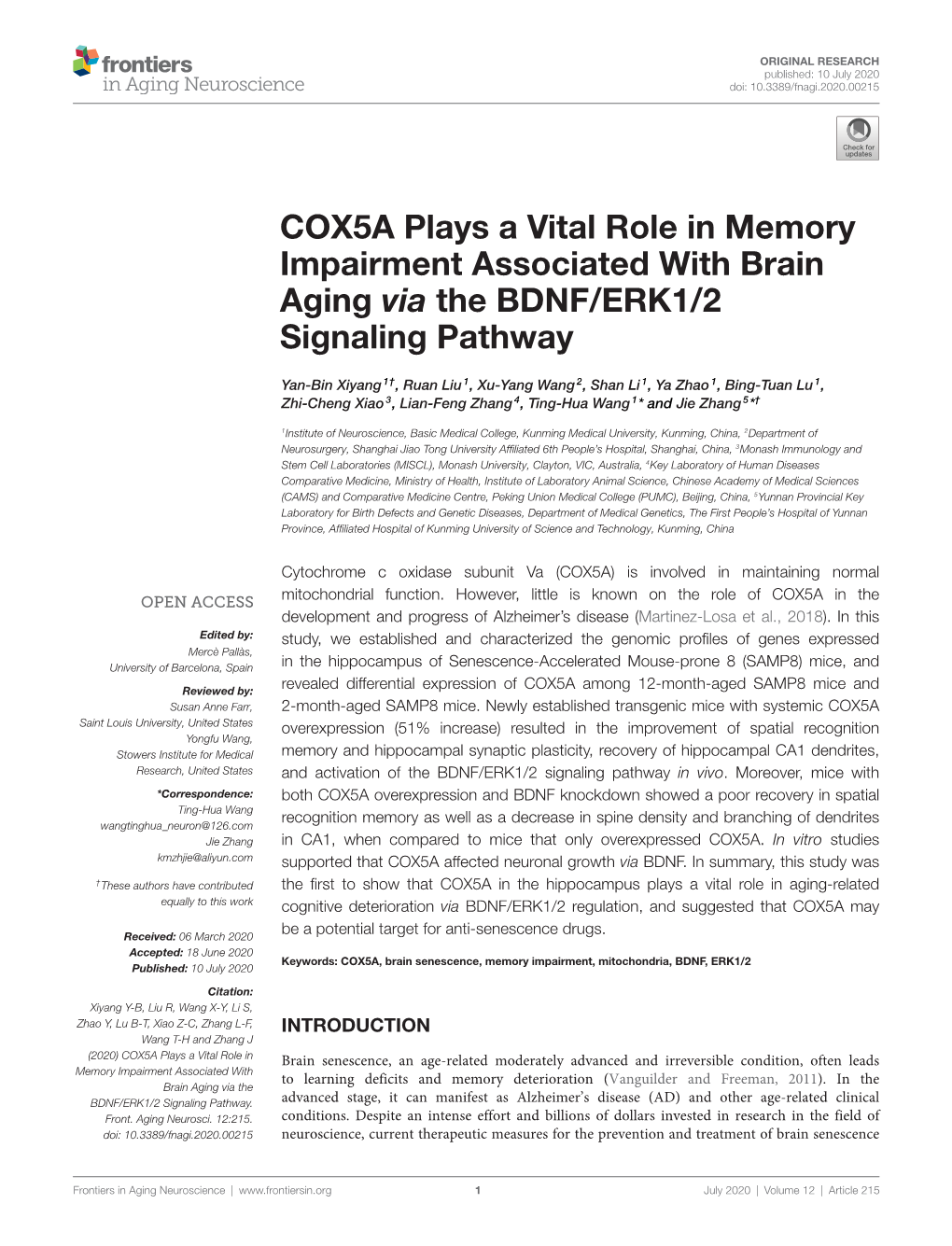 COX5A Plays a Vital Role in Memory Impairment Associated with Brain Aging Via the BDNF/ERK1/2 Signaling Pathway