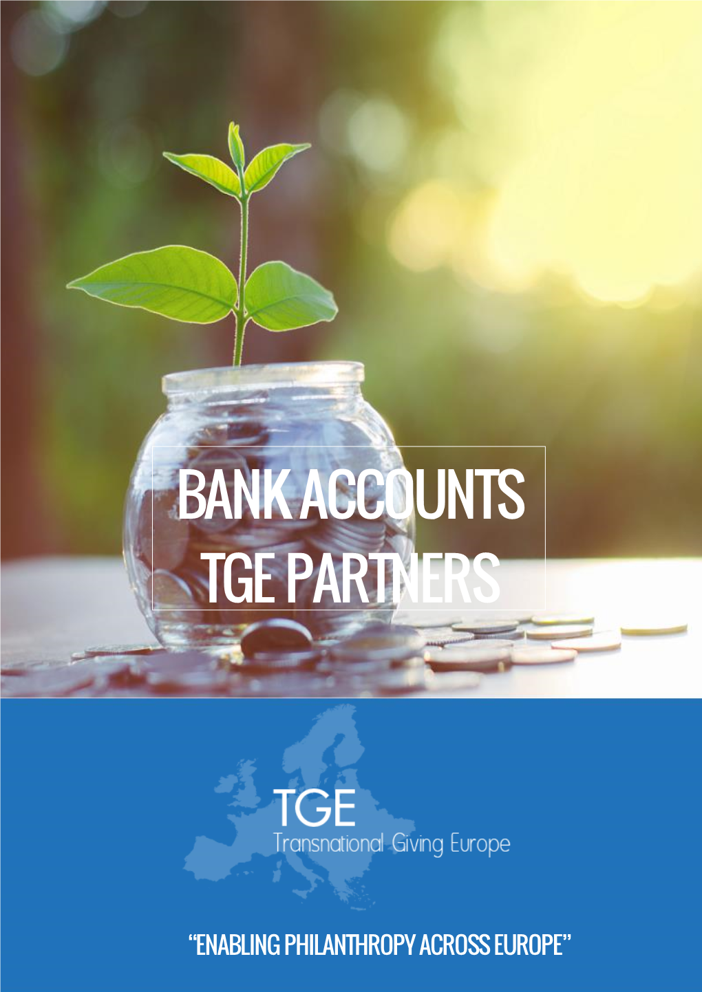 Bank Accounts Tge Partners
