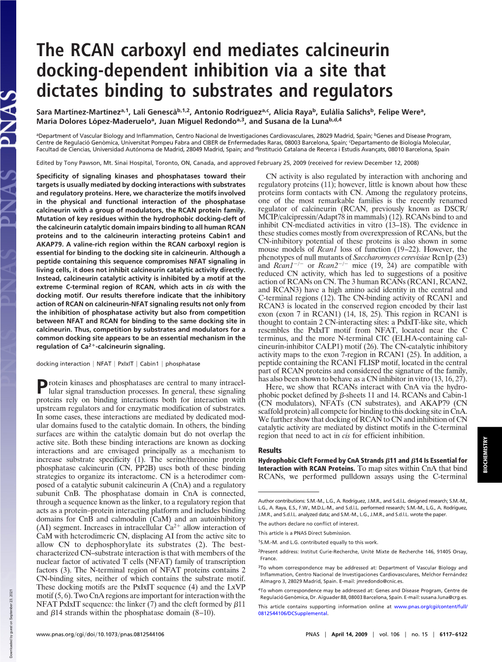 The RCAN Carboxyl End Mediates Calcineurin Docking-Dependent Inhibition Via a Site That Dictates Binding to Substrates and Regulators