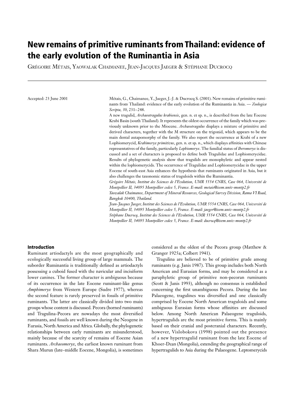 New Remains of Primitive Ruminants from Thailand: Evidence of the Early