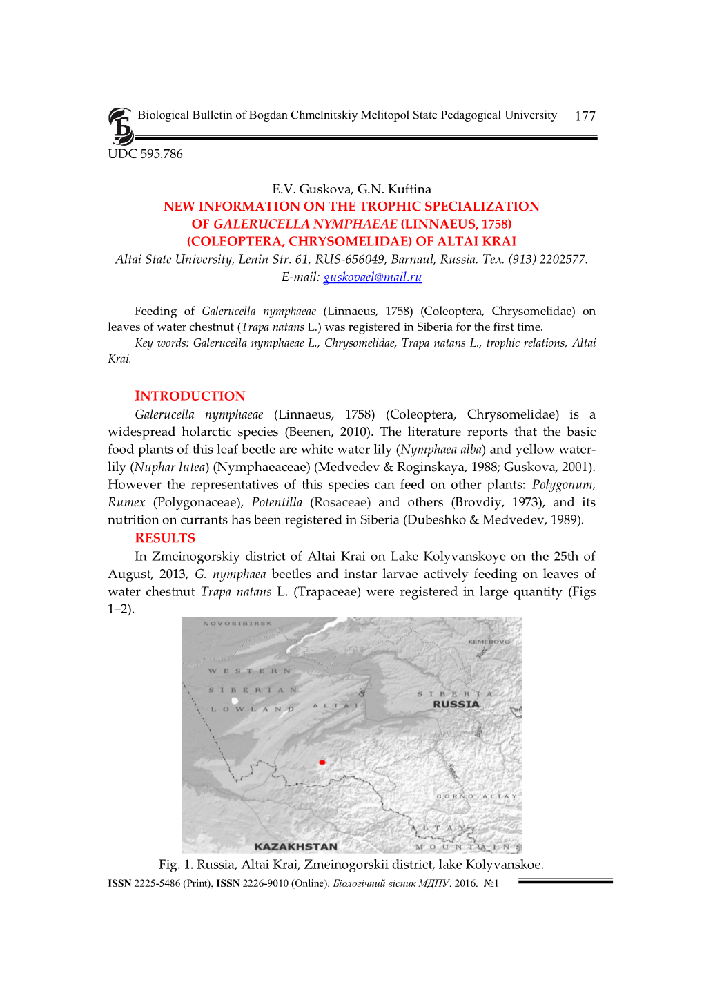 UDC 595.786 E.V. Guskova, G.N. Kuftina NEW INFORMATION ON