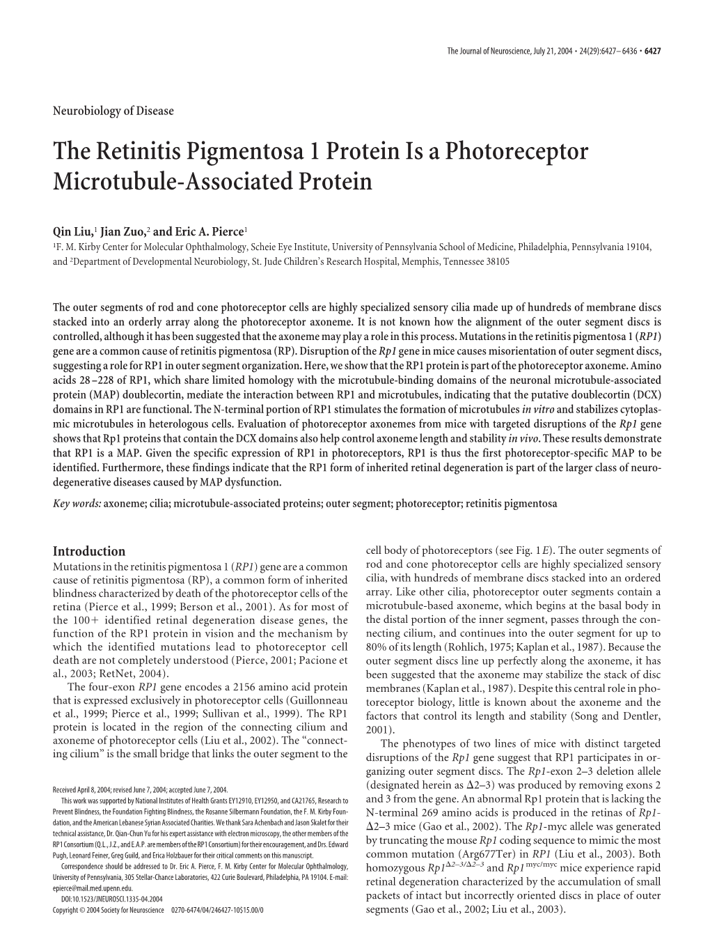 The Retinitis Pigmentosa 1 Protein Is a Photoreceptor Microtubule-Associated Protein