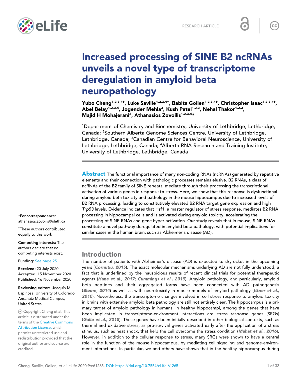 Increased Processing of SINE B2 Ncrnas Unveils a Novel Type Of