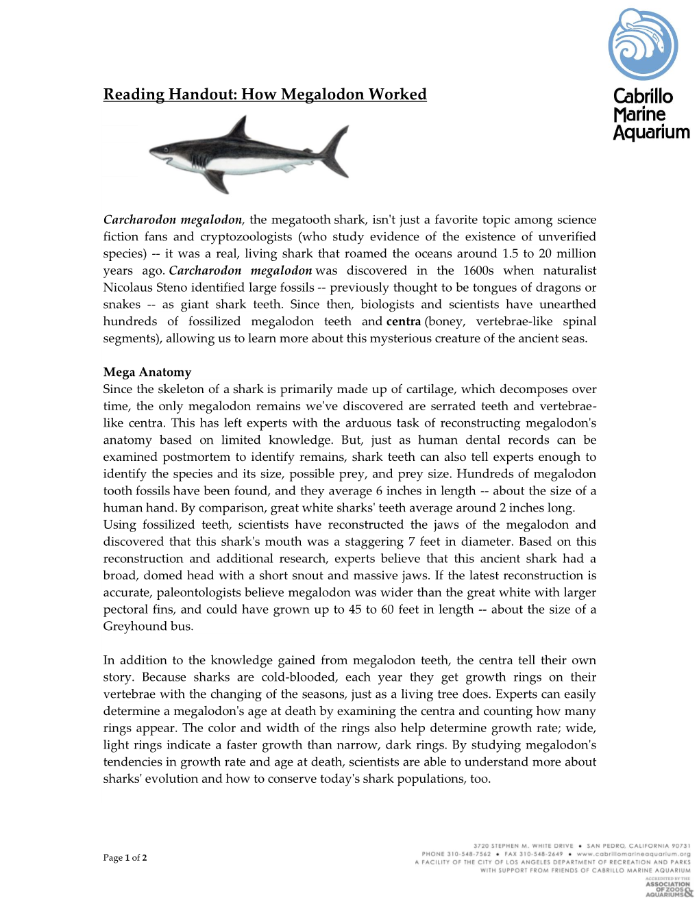 Reading Handout: How Megalodon Worked