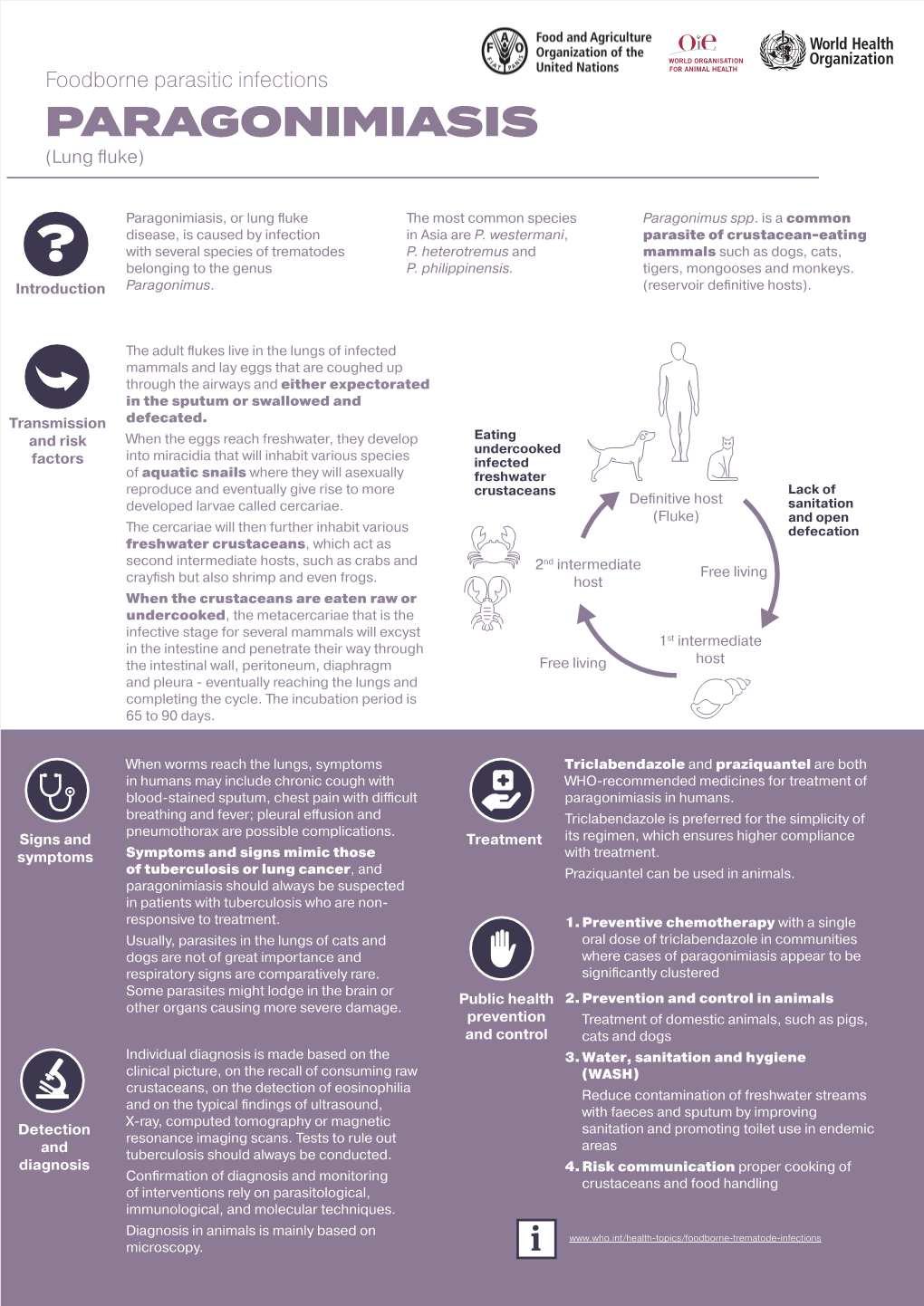 Infographic Paragonimiasis