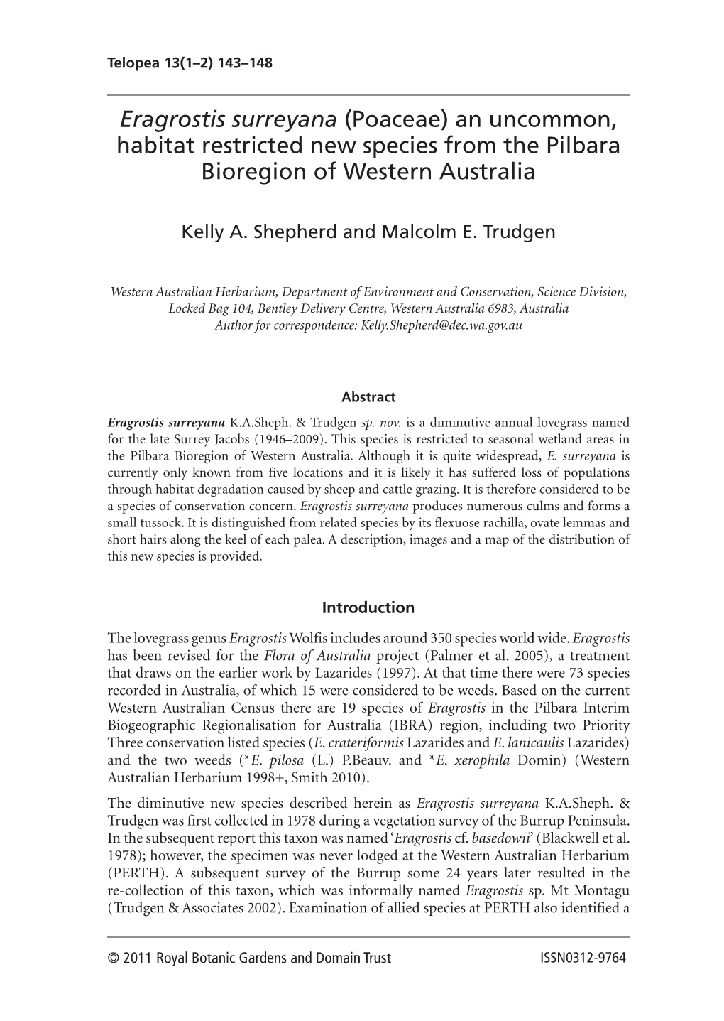 Eragrostis Surreyana (Poaceae) an Uncommon, Habitat Restricted New Species from the Pilbara Bioregion of Western Australia