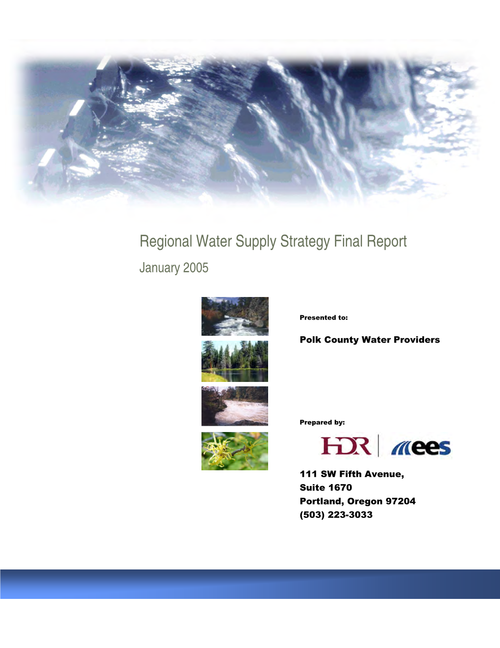 Regional Water Supply Strategy Final Report January 2005