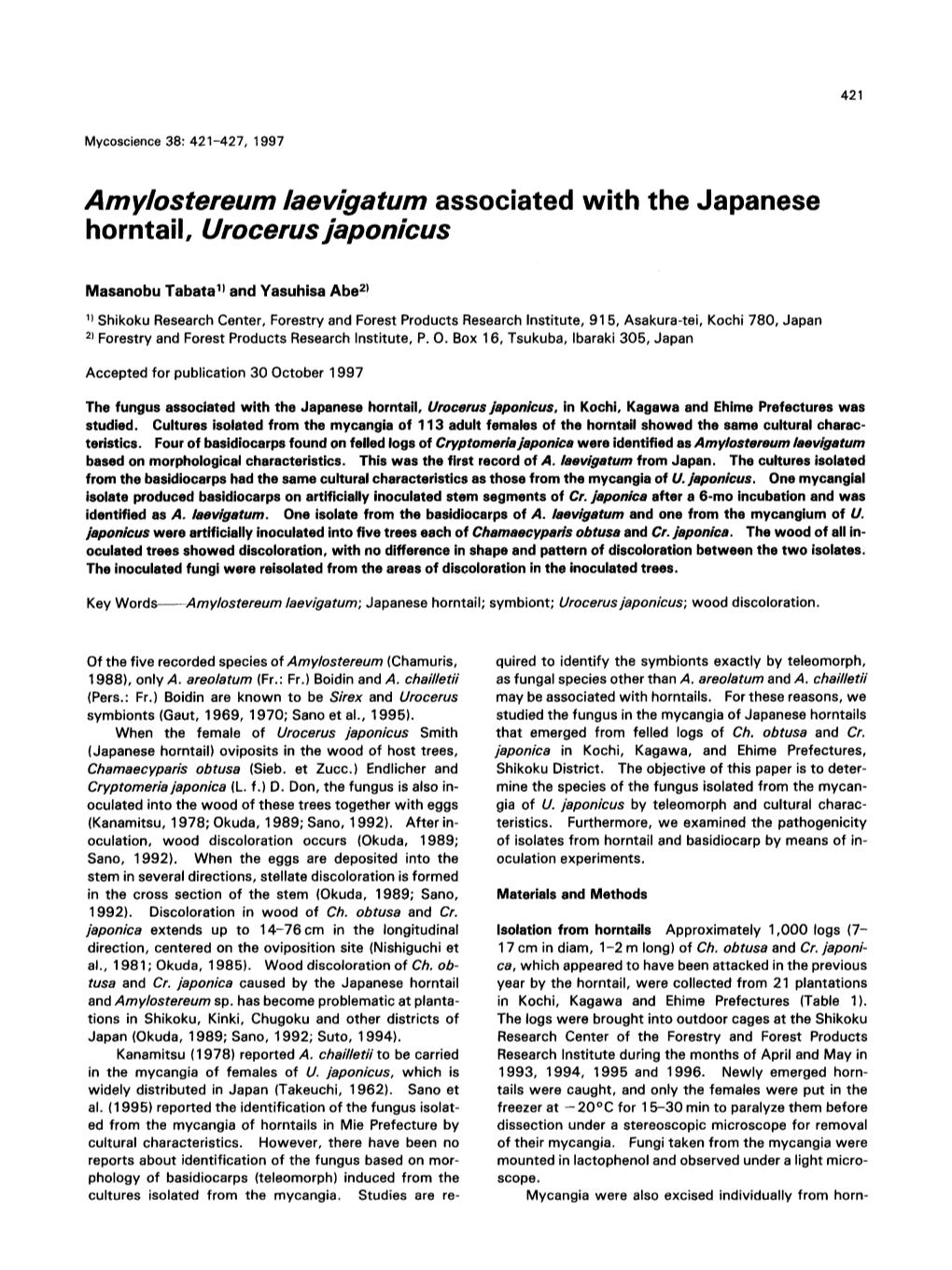 Amylostereum Laevigatum Associated with the Japanese Horntail, Urocerusjaponicus