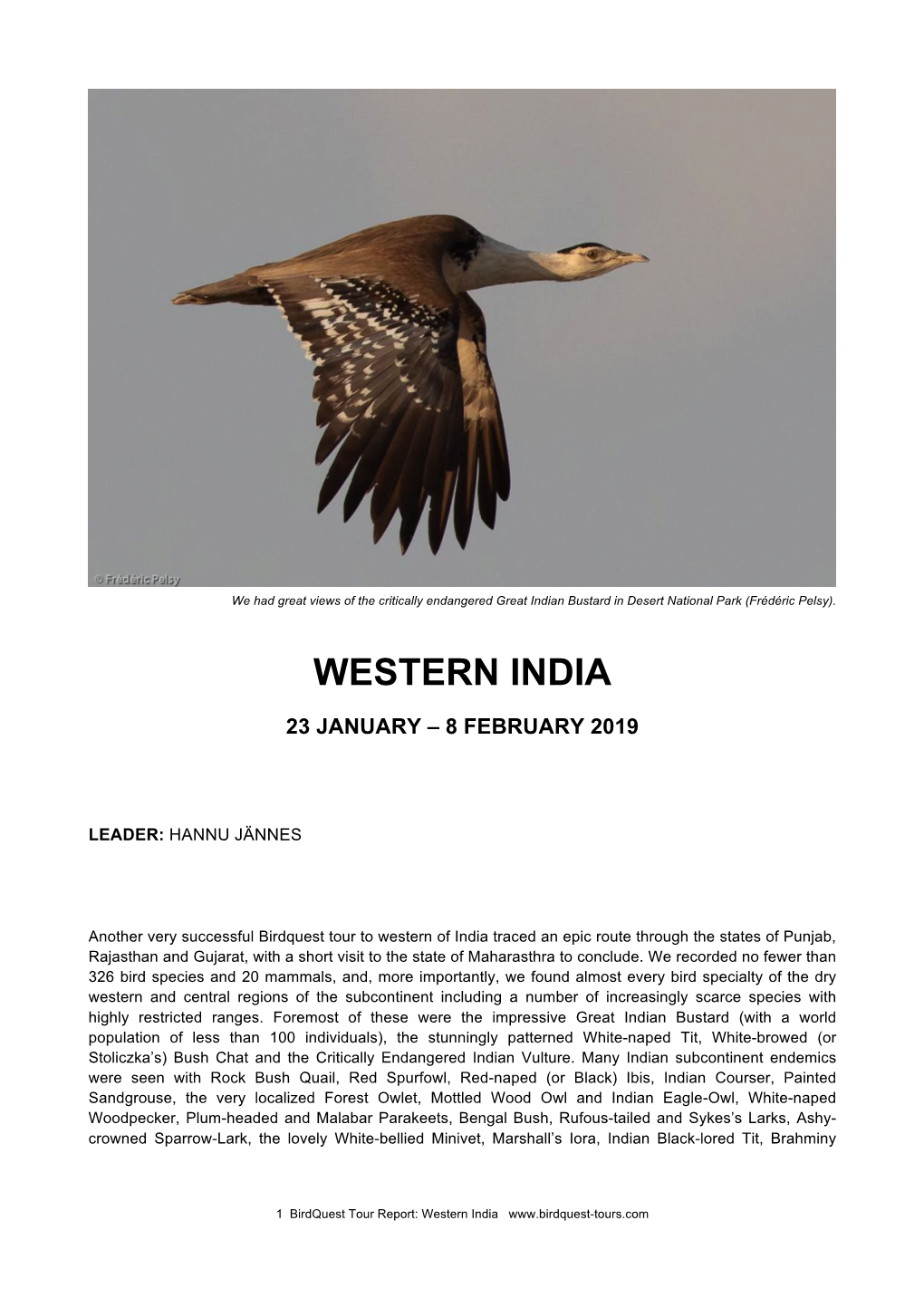 Western India Tour Report 2019