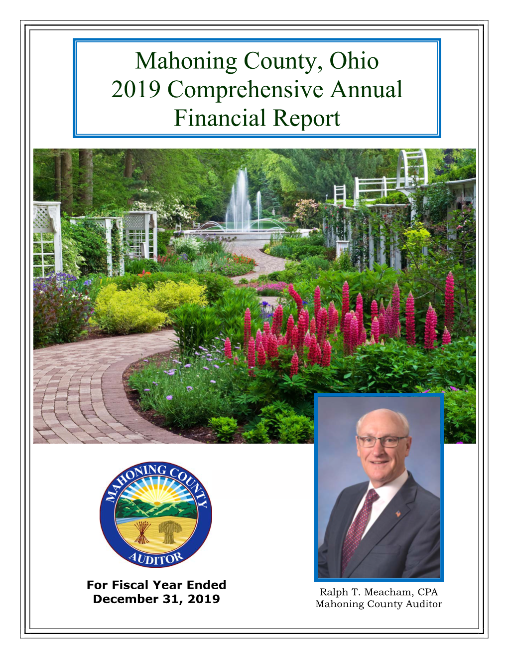 Mahoning County, Ohio 2019 Comprehensive Annual Financial