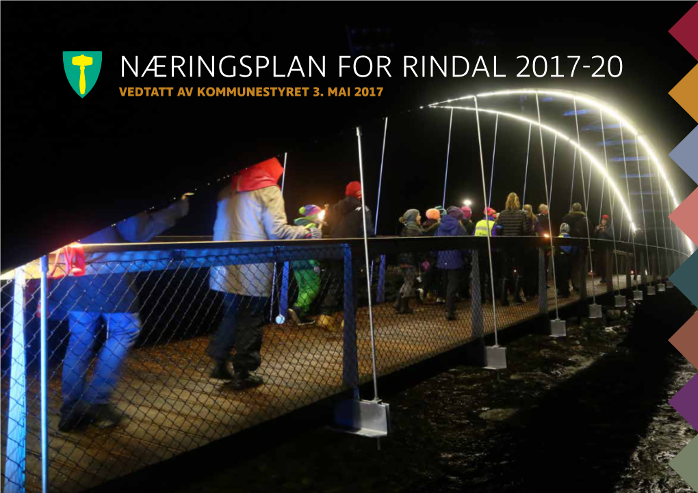 Næringsplan for Rindal 2017-20 Vedtatt Av Kommunestyret 3