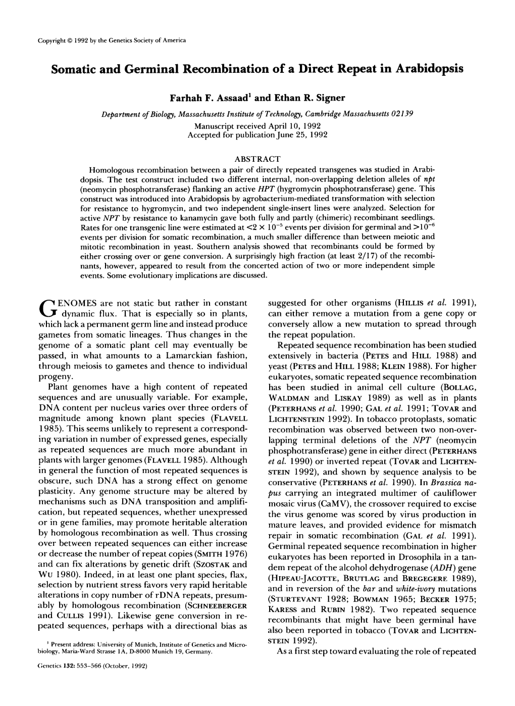 Somatic and Germinal Recombination of a Direct Repeat in Arabidopsis