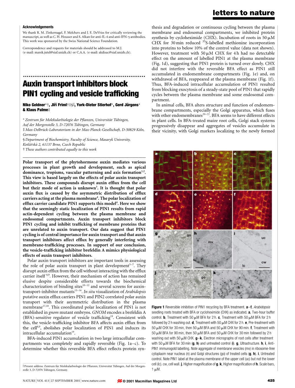 Auxin Transport Inhibitors Block PIN1 Cycling and Vesicle Trafficking