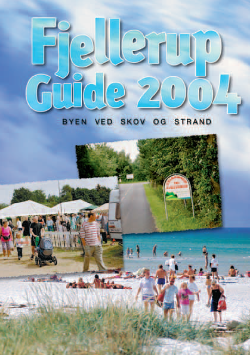 GUIDE 2004.Pdf