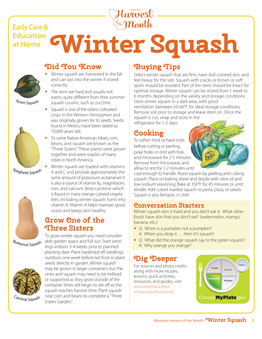 Winter Squash