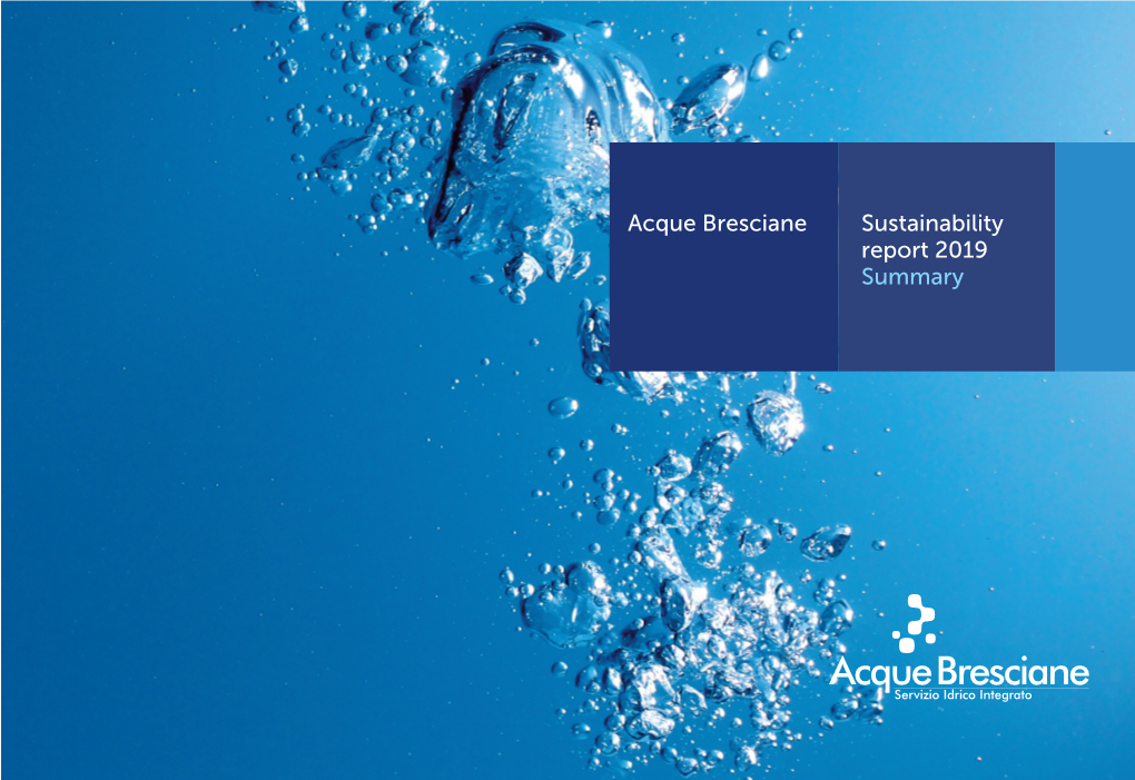 Sustainability Report 2019 Summary Acque Bresciane