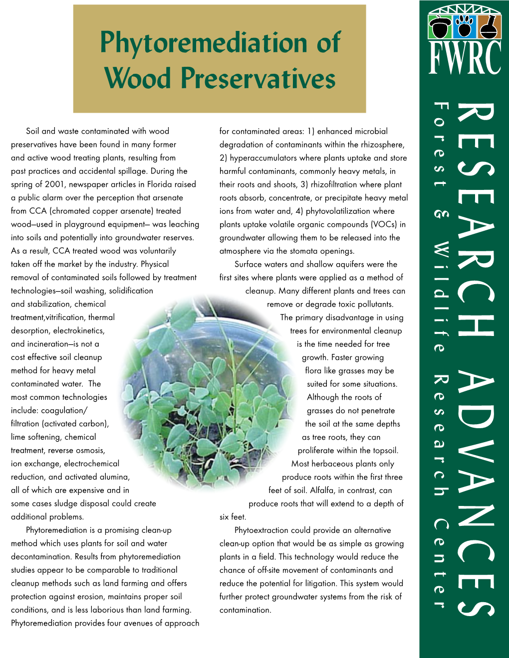 Phytoremediation of Wood Preservatives FWRC