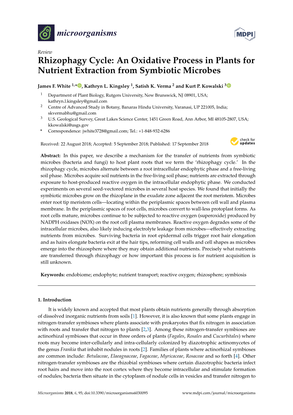 Rhizophagy Cycle: an Oxidative Process in Plants for Nutrient Extraction from Symbiotic Microbes