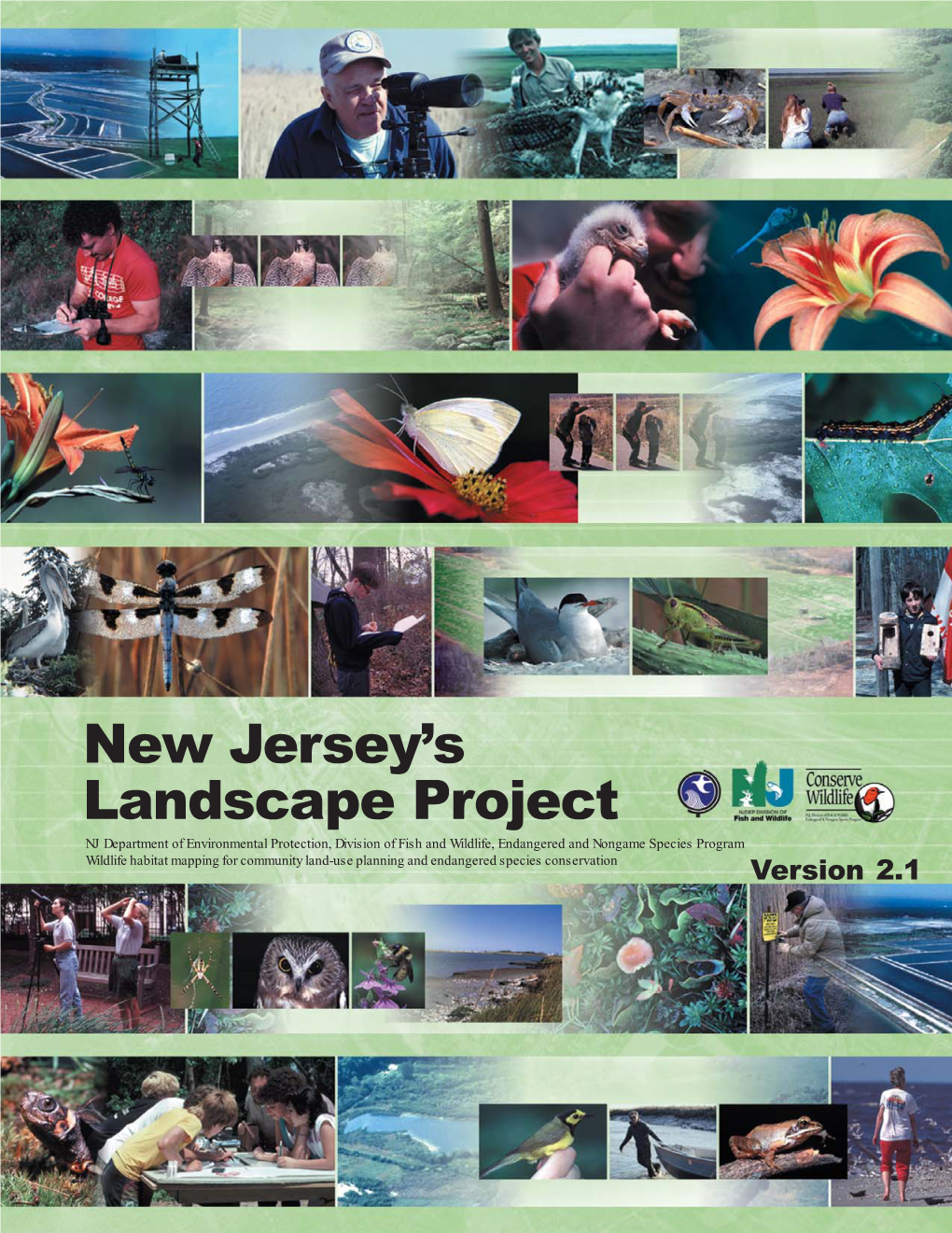 NJDEP Landscape Project