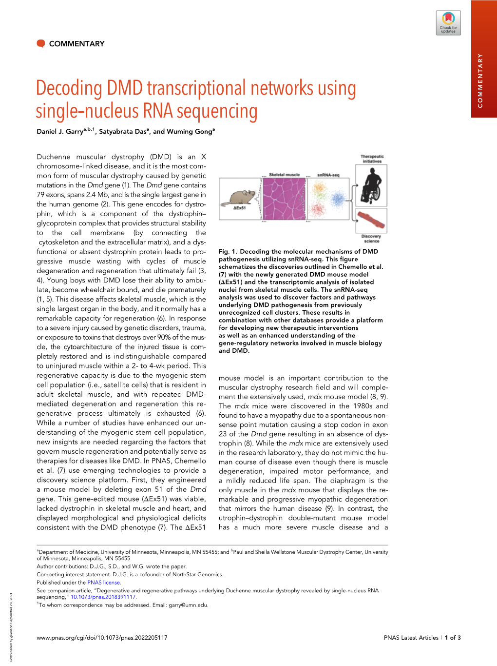 Decoding DMD Transcriptional Networks Using Single‐Nucleus RNA Sequencing COMMENTARY Daniel J