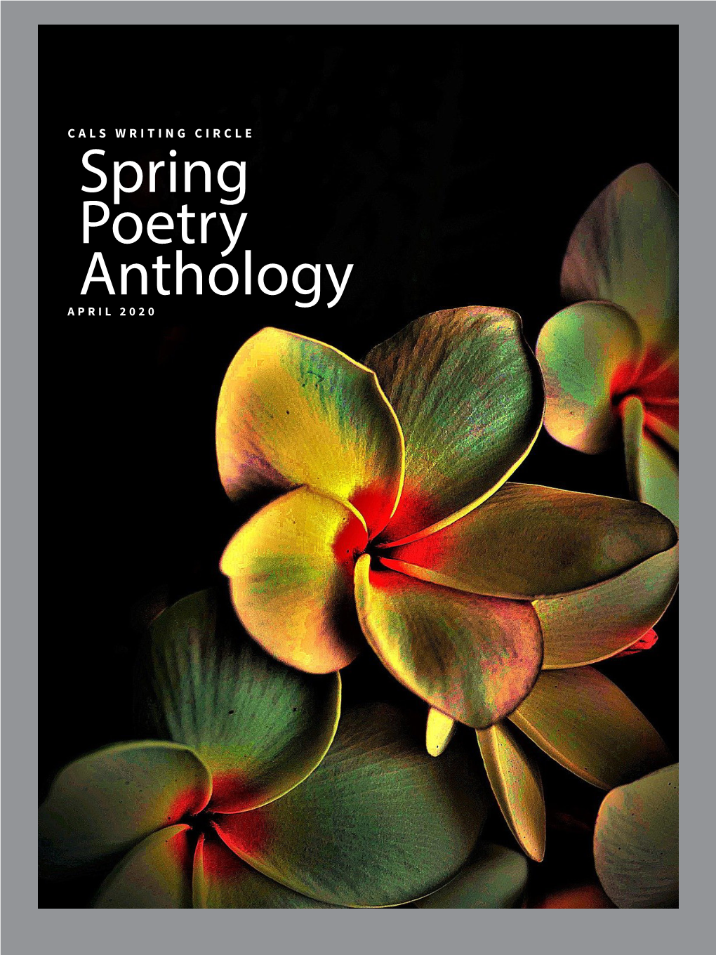 Download Writing Circle Anthology