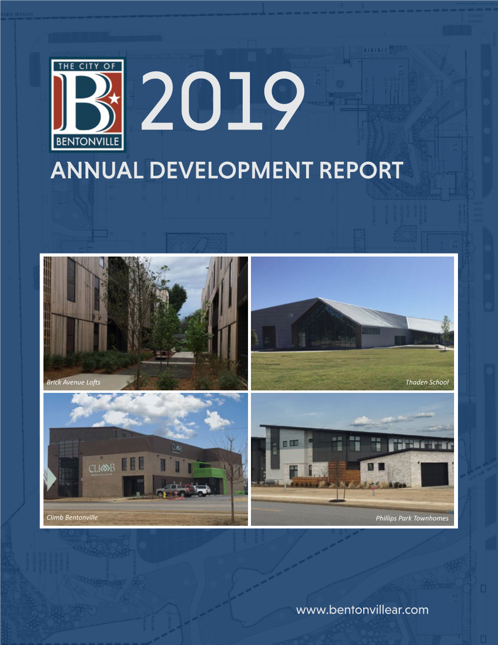 2019 Annual Development Report
