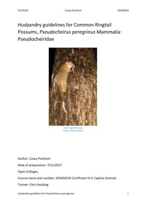 Husbandry Guidelines for Common Ringtail Possums, Pseudocheirus Peregrinus Mammalia: Pseudocheiridae