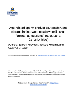 Age-Related Sperm Production, Transfer, and Storage in The