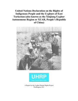 United Nations Declaration on the Rights of Indigenous People And