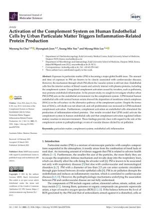 Activation of the Complement System on Human Endothelial Cells by Urban Particulate Matter Triggers Inflammation-Related Protein Production
