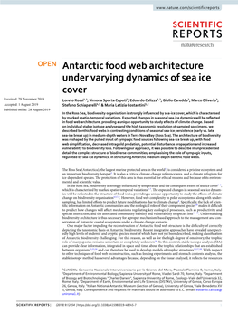 Antarctic Food Web Architecture Under Varying Dynamics of Sea Ice Cover