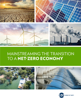 Mainstreaming the Transition to a Net Zero Economy