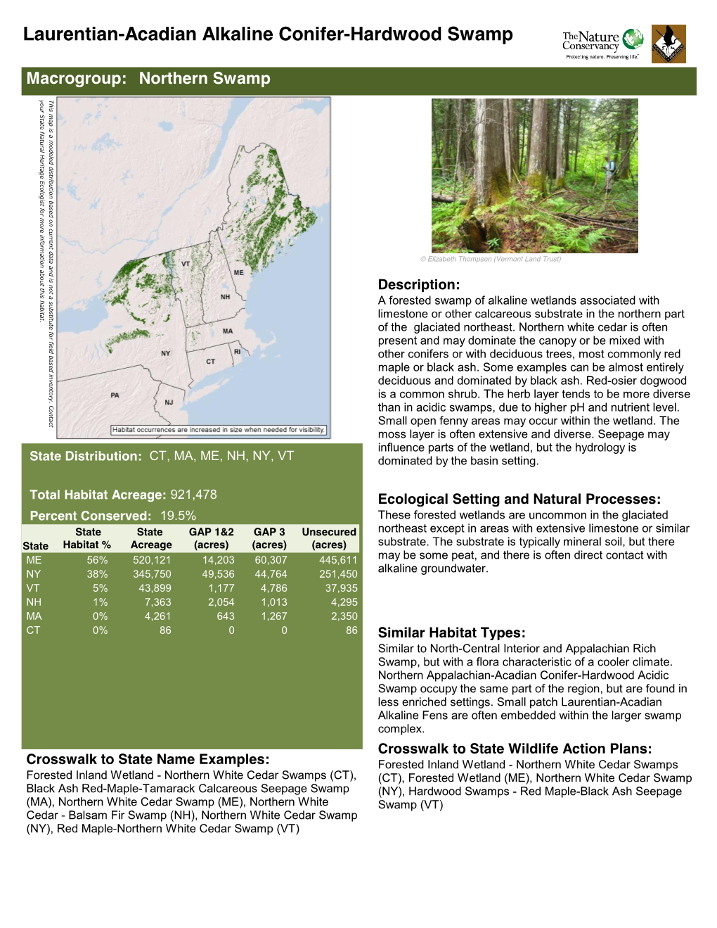 Laurentian-Acadian Alkaline Conifer-Hardwood Swamp