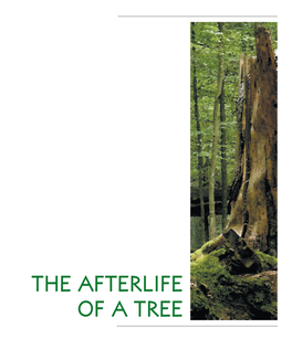 THE AFTERLIFE of a TREE the Authors of Appendices at the End of the Book Are: A