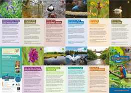 Download the Kingfisher Trail Guide