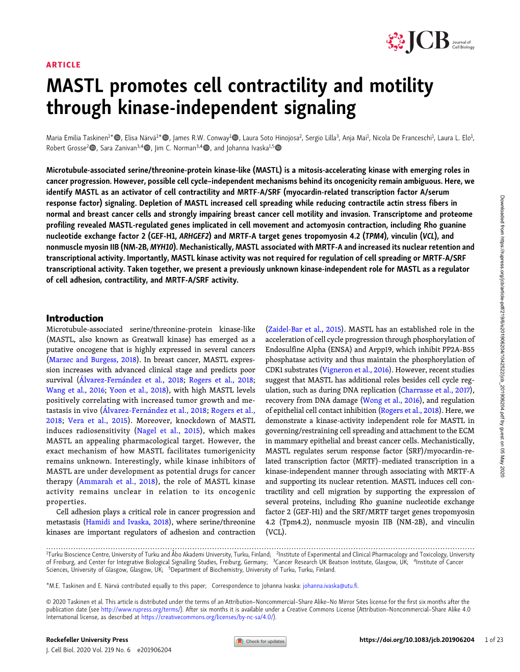 MASTL Promotes Cell Contractility and Motility Through Kinase-Independent Signaling