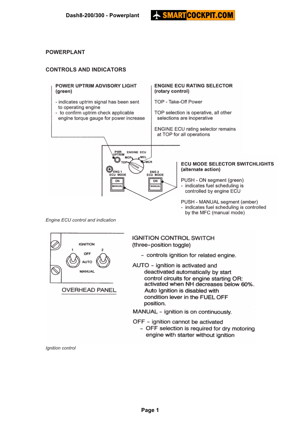 Powerplant Controls and Indicators