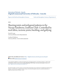 Sheeting Joints and Polygonal Patterns in the Navajo Sandstone, Southern Utah: Controlled by Rock Fabric, Tectonic Joints, Buckling, and Gullying David B