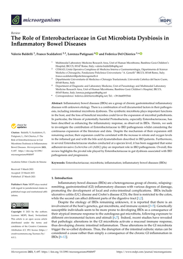 The Role of Enterobacteriaceae in Gut Microbiota Dysbiosis in Inﬂammatory Bowel Diseases