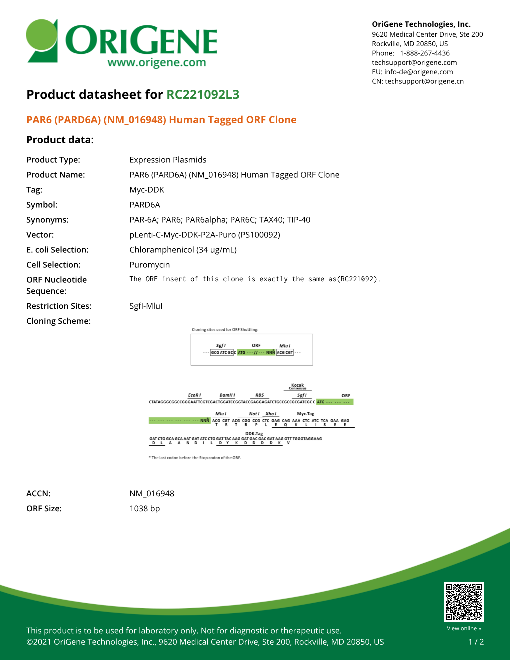 PAR6 (PARD6A) (NM 016948) Human Tagged ORF Clone Product Data