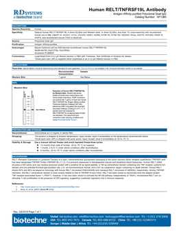 Human RELT/TNFRSF19L Antibody Antigen Affinity-Purified Polyclonal Goat Igg Catalog Number: AF1385