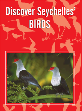 Discover Seychelles' BIRDS