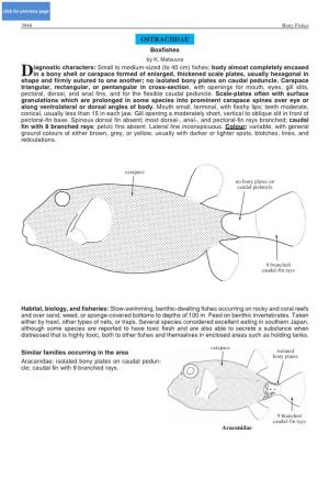 OSTRACIIDAE Boxfishes by K