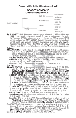 SECRET SOMEONE Chestnut Mare; Foaled 2011 Bold Reasoning Seattle Slew