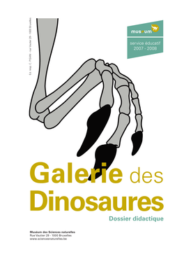 Dossier Didactique Dinosaures.Pdf